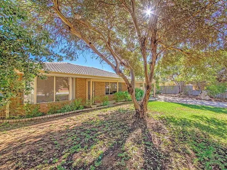 Seventh view of Homely house listing, 47 MOORPARK Avenue, Yanchep WA 6035