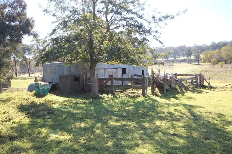 Third view of Homely house listing, 1360 Kingsvale Road, Young NSW 2594
