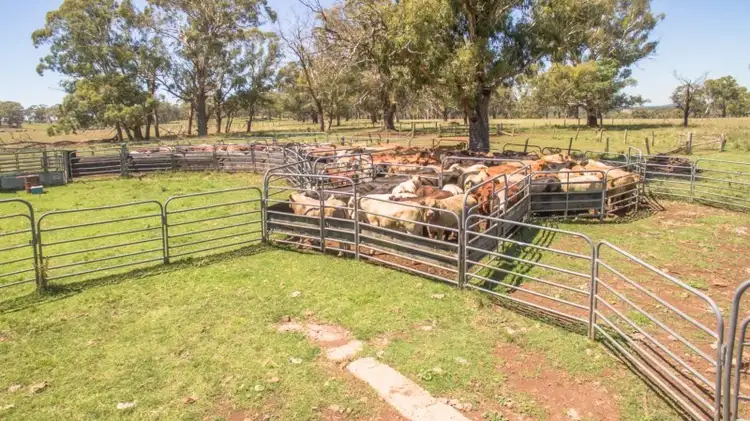 Sixth view of Homely rural property listing, Elderbury 250 Northbrook Road, Guyra NSW 2365