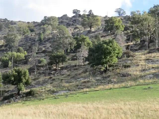 Second view of Homely rural property listing, Lot 141 Tarrants Gap Road, Wyangala NSW 2808