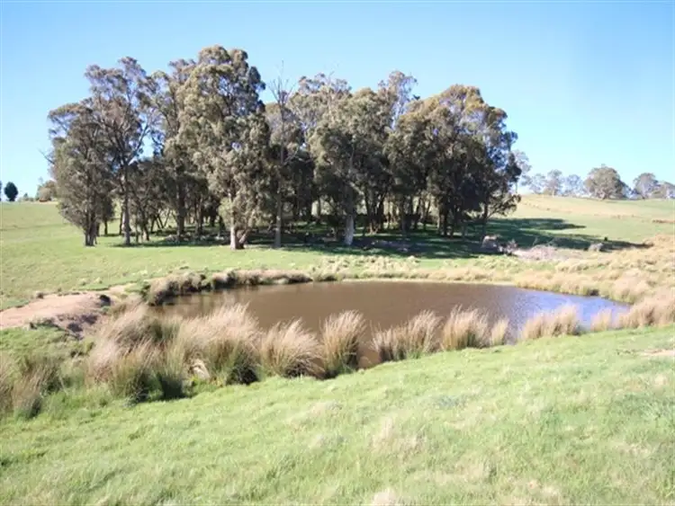 Fifth view of Homely rural property listing, Address available on request