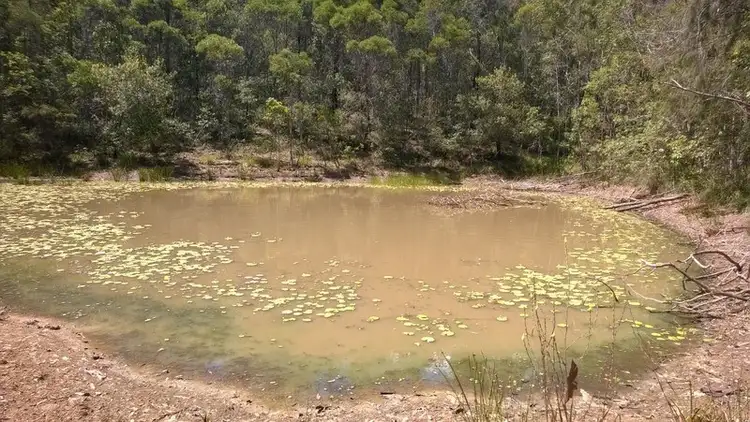 Seventh view of Homely land listing, L2-369 Fortis Creek Road, Fortis Creek NSW 2460