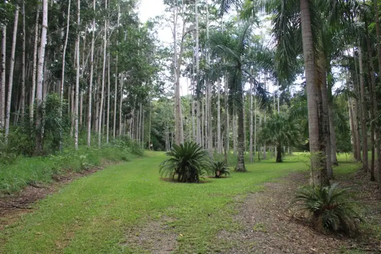 Third view of Homely land listing, 1 Richards Road, Julatten QLD 4871