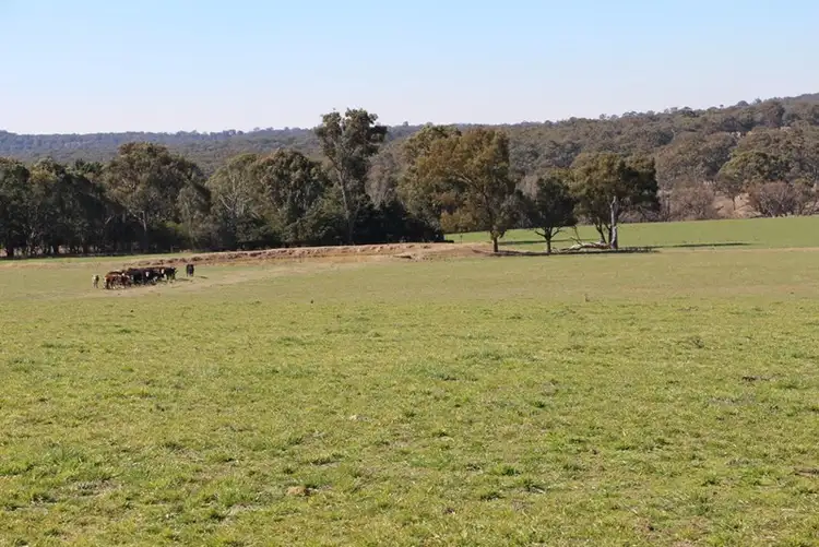 Sixth view of Homely rural property listing, 1436 Rockvale Road, Armidale NSW 2350