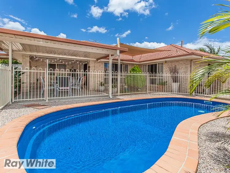 Main view of Homely house listing, 8 Figbird Road, Narangba QLD 4504