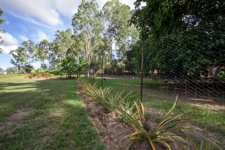 Sixth view of Homely house listing, 30 Jim Weir Road, Julatten QLD 4871