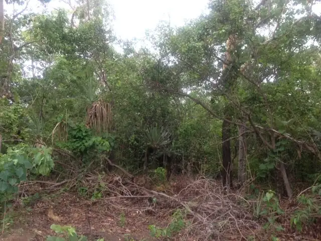 Fourth view of Homely land listing, Lot 3125 82 Zuleika Road, Dundee Beach NT 840