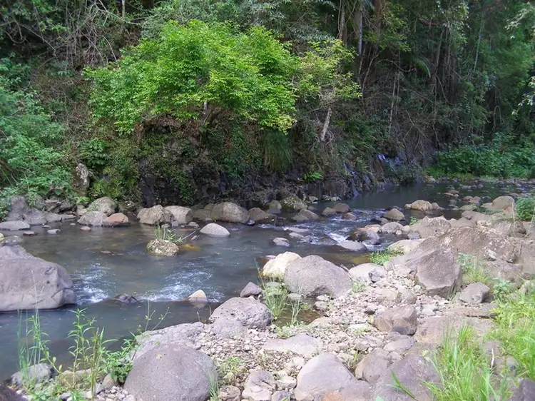 Fourth view of Homely rural property listing, 3362 Nerang Murwillumbah Road, Natural Bridge QLD 4211