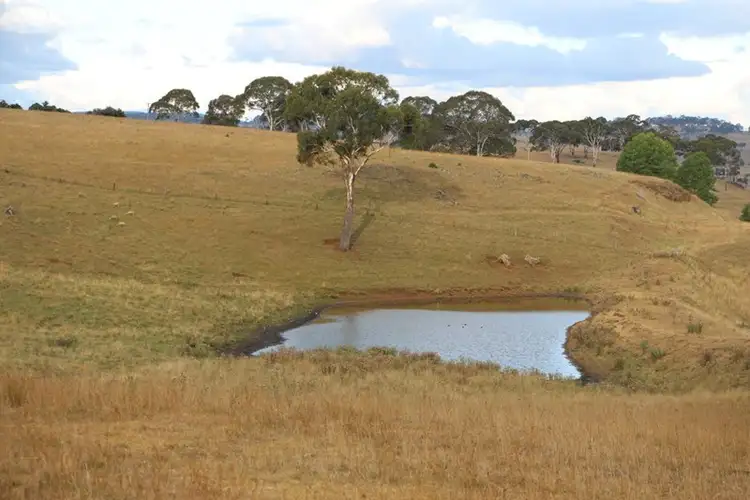 Seventh view of Homely rural property listing, 7356 Guyra Road, Guyra NSW 2365