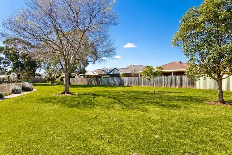 Fifth view of Homely house listing, 19 Jacaranda Grove, Oaklands Park SA 5046