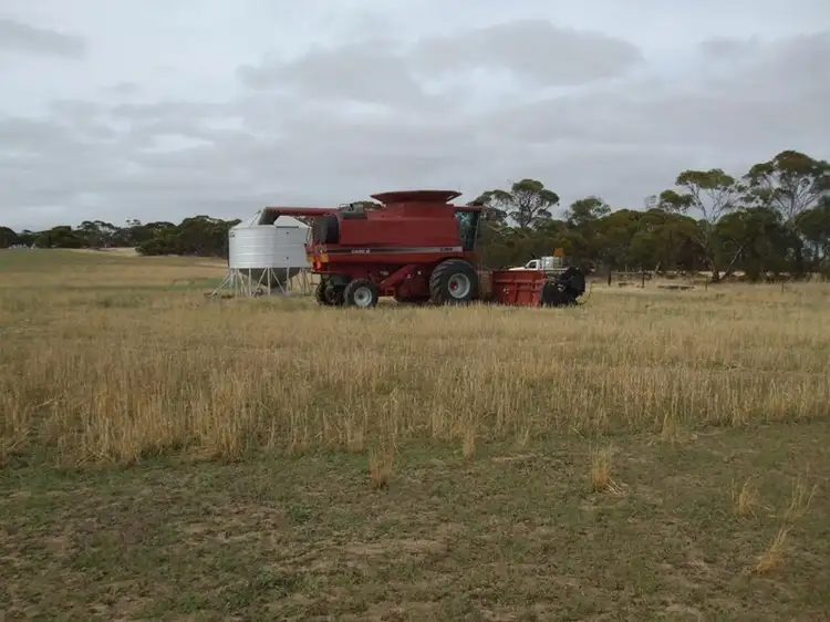 Third view of Homely rural property listing, Lot 13 Oaks Road, Pinnaroo SA 5304