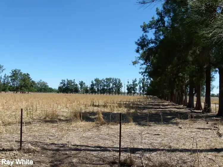 Seventh view of Homely house listing, 144 Salisbury Road, Forbes NSW 2871