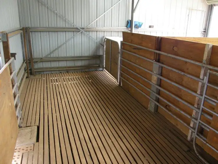 Fourth view of Homely rural property listing, 821 Scenic Drive, Manildra NSW 2865