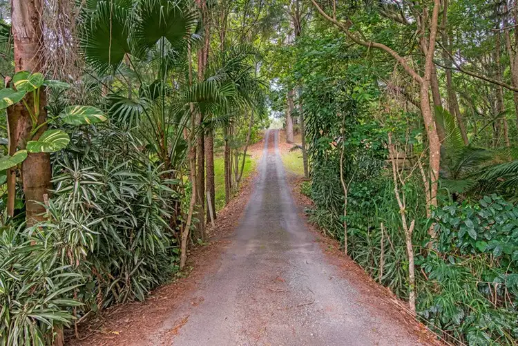 Fourth view of Homely house listing, 503 Tallebudgera Connection Road, Currumbin Valley QLD 4223