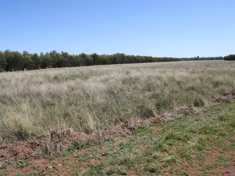 Fourth view of Homely rural property listing, 0 "Wallaroi West", Condobolin NSW 2877