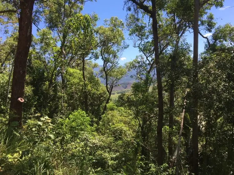 Sixth view of Homely land listing, Lot 1 Stewart Creek Road, Daintree QLD 4873