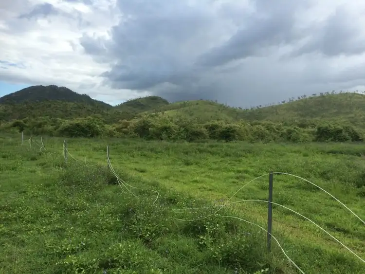Third view of Homely rural property listing, 240 Chisholm Trail, Oak Valley QLD 4811