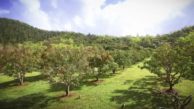 Sixth view of Homely land listing, Lot 602/47 Pringle Road, Woodwark QLD 4802