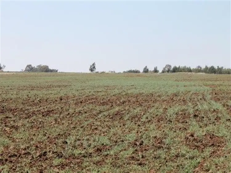 Sixth view of Homely rural property listing, 'Montana' Mount Russell Road, Inverell NSW 2360