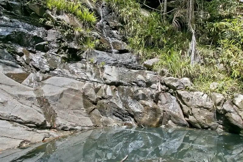 Main view of Homely rural property listing, 1361 Tyalgum Road, Tyalgum NSW 2484