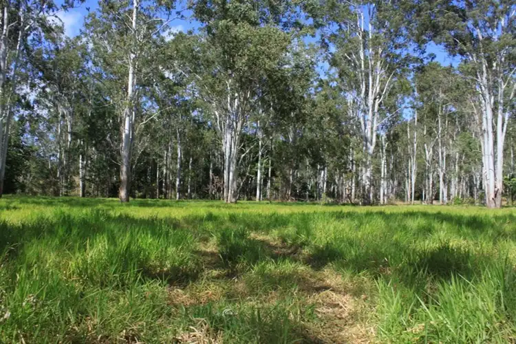 Sixth view of Homely land listing, Lot 73 Jim Weir Road, Julatten QLD 4871