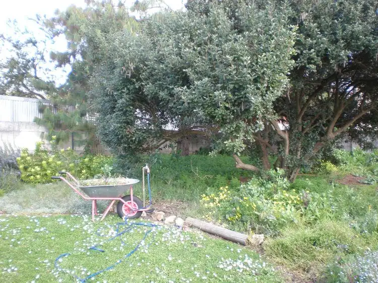 Fifth view of Homely house listing, 3 Bridges Street, Mount Gambier SA 5290