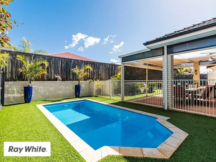 Main view of Homely house listing, 84 Fantail Crescent, Ellenbrook WA 6069