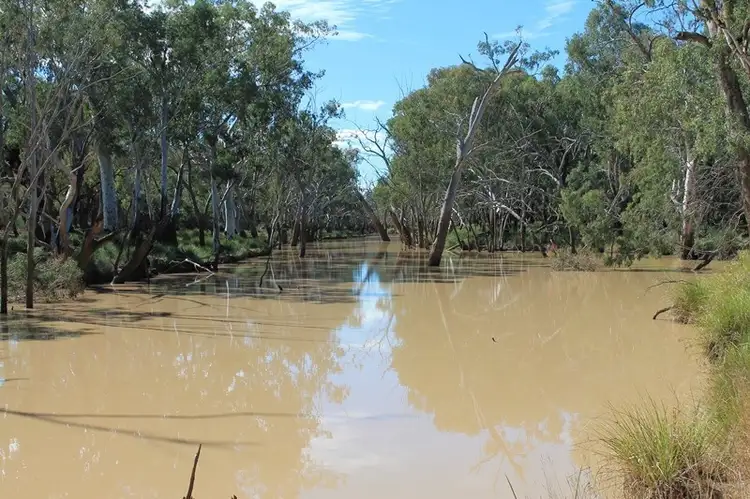 Second view of Homely rural property listing, 24265 Moonie Highway, St George QLD 4487