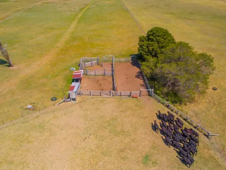 Fourth view of Homely rural property listing, Otterbourne 506 Enmore Road, Armidale NSW 2350