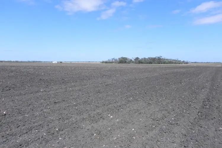 Fourth view of Homely rural property listing, 0 Watson Road, Pittsworth QLD 4356