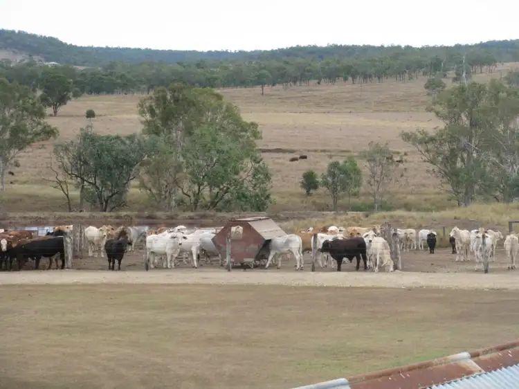 Main view of Homely rural property listing, 114 WILSONS Road, Murgon QLD 4605