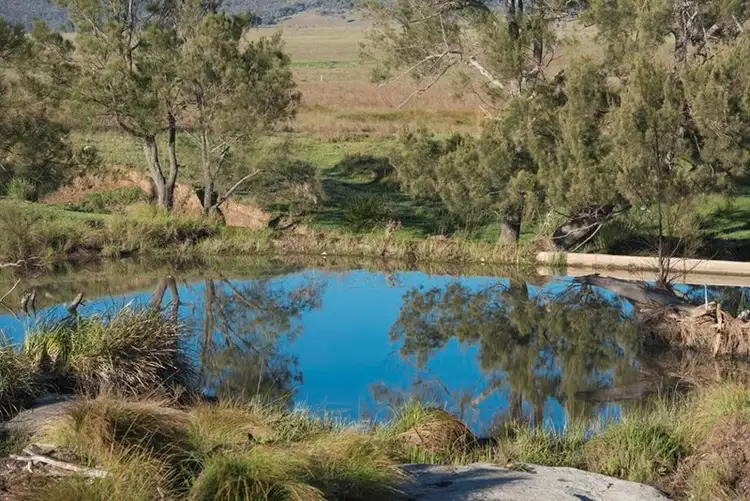 Seventh view of Homely rural property listing, Lots 19,20and21 Leran Lane, Ballandean QLD 4382