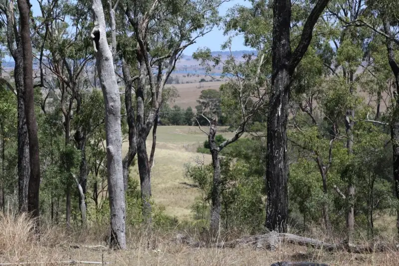 Main view of Homely land listing, 299 Tooloorum Road, Bryden QLD 4312