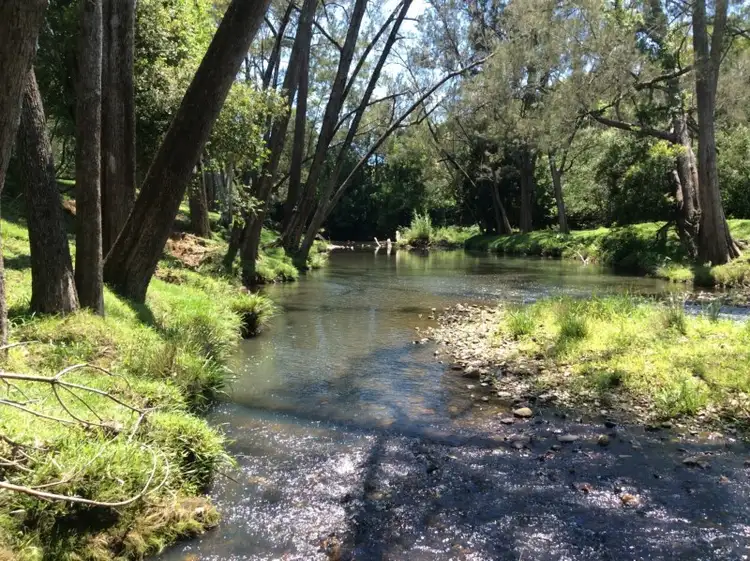 Second view of Homely rural property listing, 400 Chilcotts Road, Chillingham NSW 2484