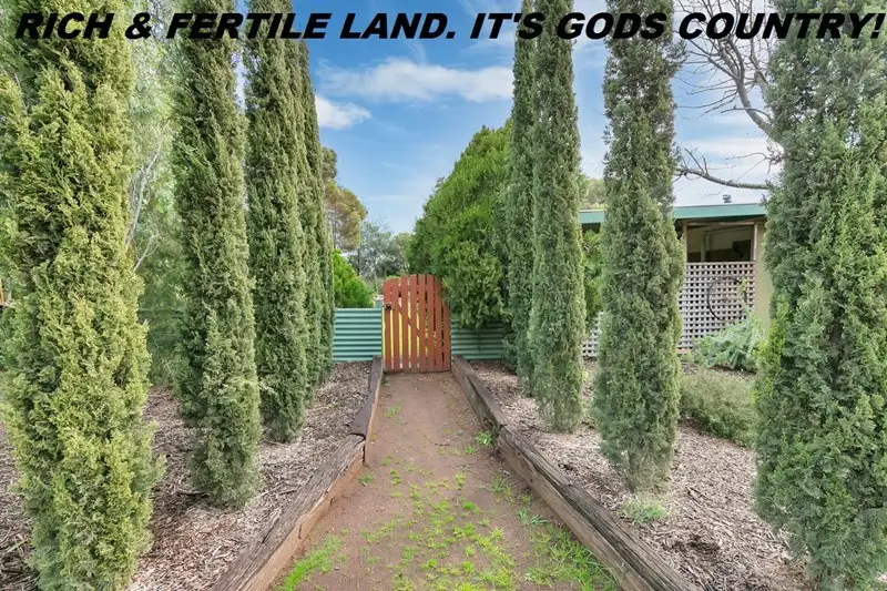 Main view of Homely house listing, 983 Davies Road, Mallala SA 5502