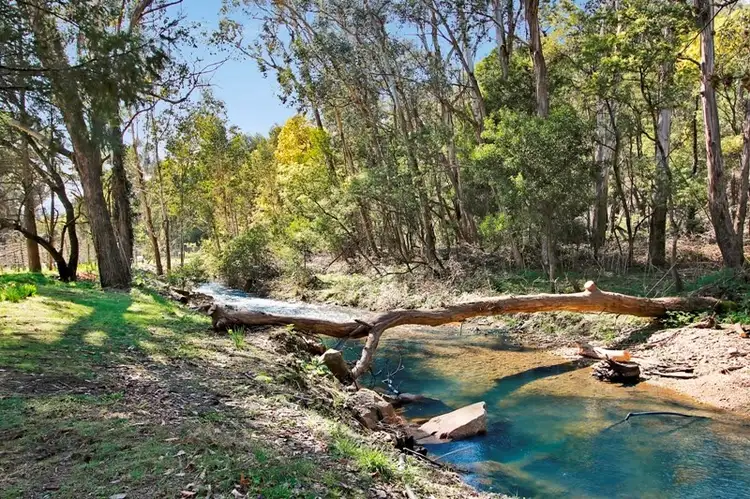 Fourth view of Homely house listing, 675 Morses Creek Road, Wandiligong VIC 3744