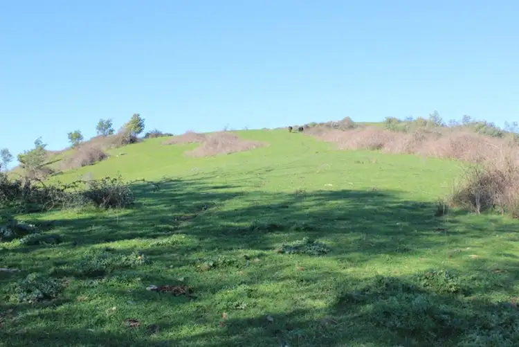 Sixth view of Homely rural property listing, Address available on request