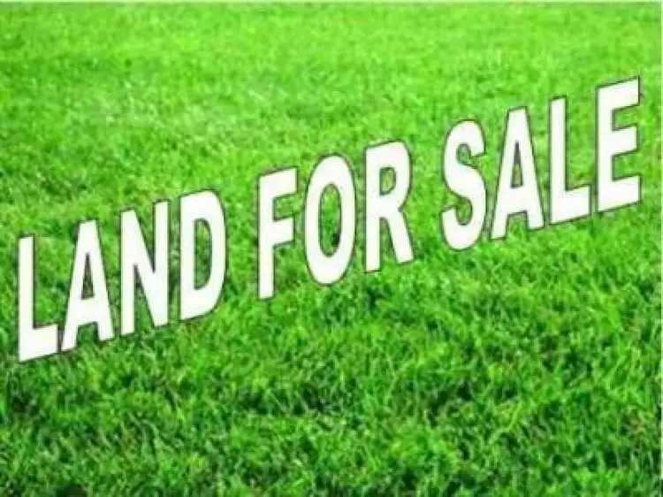 Main view of Homely land listing, Lot 1 of 11 Webster Avenue, Hendra QLD 4011