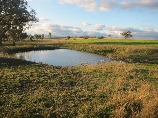 Fifth view of Homely rural property listing, 157 Ascot - Calala Lane, Loomberah NSW 2340