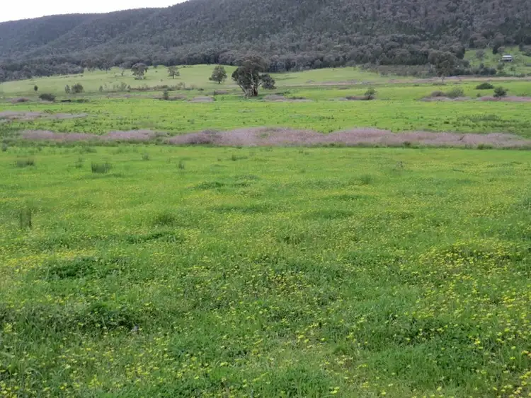 Sixth view of Homely rural property listing, 2154 Kangarooby Road, Gooloogong NSW 2805