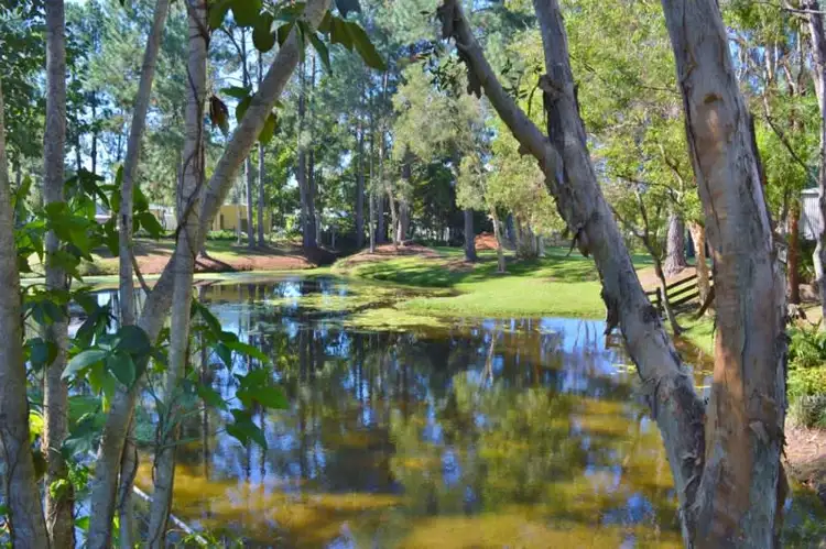 Fourth view of Homely house listing, 13 North Street, Beerwah QLD 4519