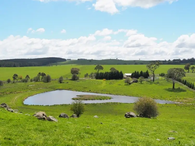 Sixth view of Homely rural property listing, Address available on request