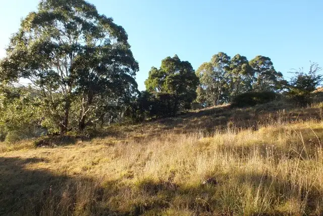 Fourth view of Homely rural property listing, Lot 2 Gingkin Road, Gingkin NSW 2787