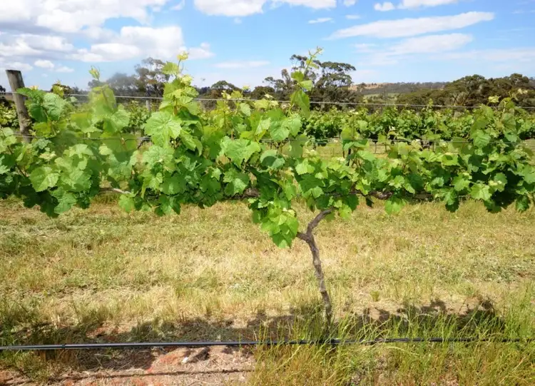 Third view of Homely land listing, Lot 50 White Hut Road, Clare SA 5453
