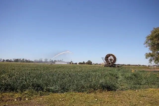 Second view of Homely land listing, "Springfield" Warrego Highway, Dalby QLD 4405