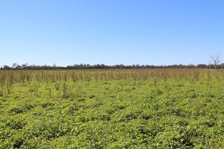 Seventh view of Homely rural property listing, Comet River Lot 1 Klimore Road, Comet QLD 4702