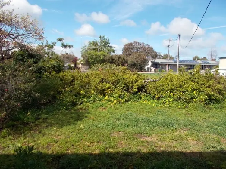 Second view of Homely house listing, 49 Venn Avenue, Bordertown SA 5268