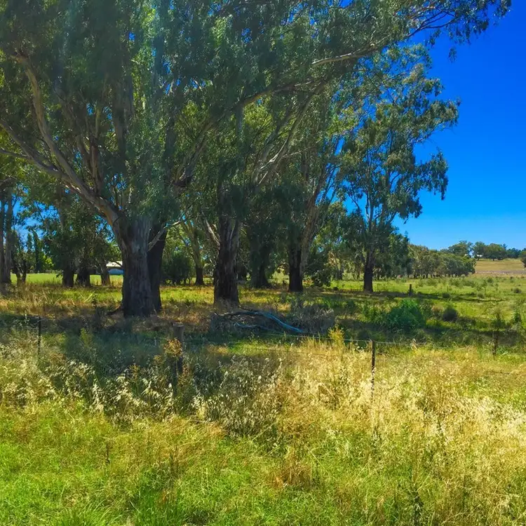 Lot 4 and 5 Irrigation Way, Narrandera NSW 2700