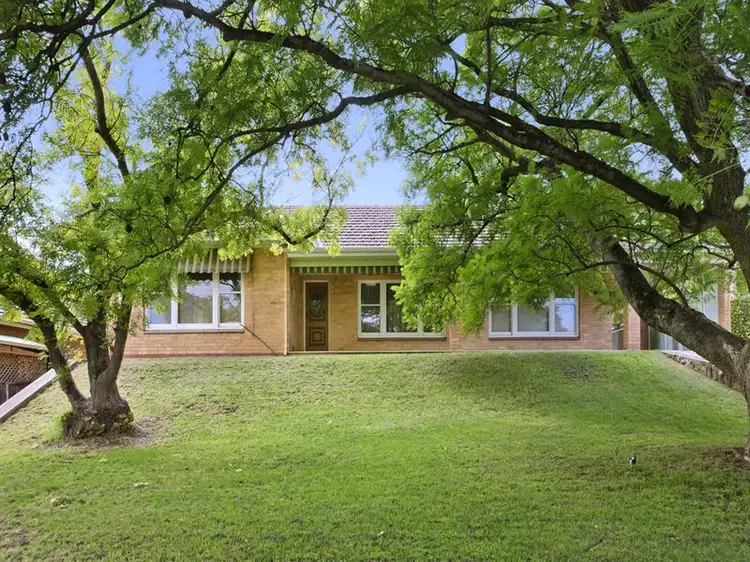 Main view of Homely house listing, 29 Ottawa Avenue, Panorama SA 5041