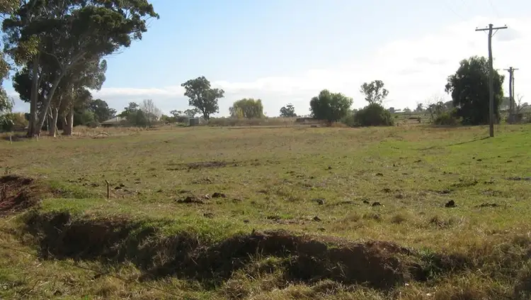 Fifth view of Homely rural property listing, 1103 Middleton Road, Bamawm VIC 3561